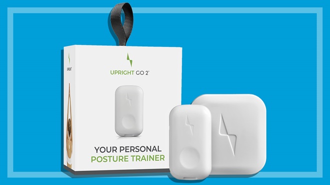 Upright go2 with box